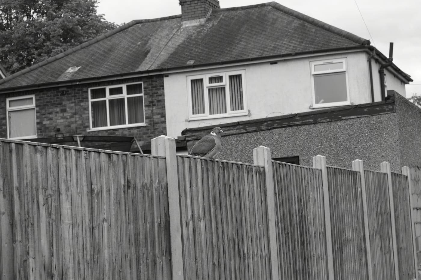 A quiet Wolverhampton back street